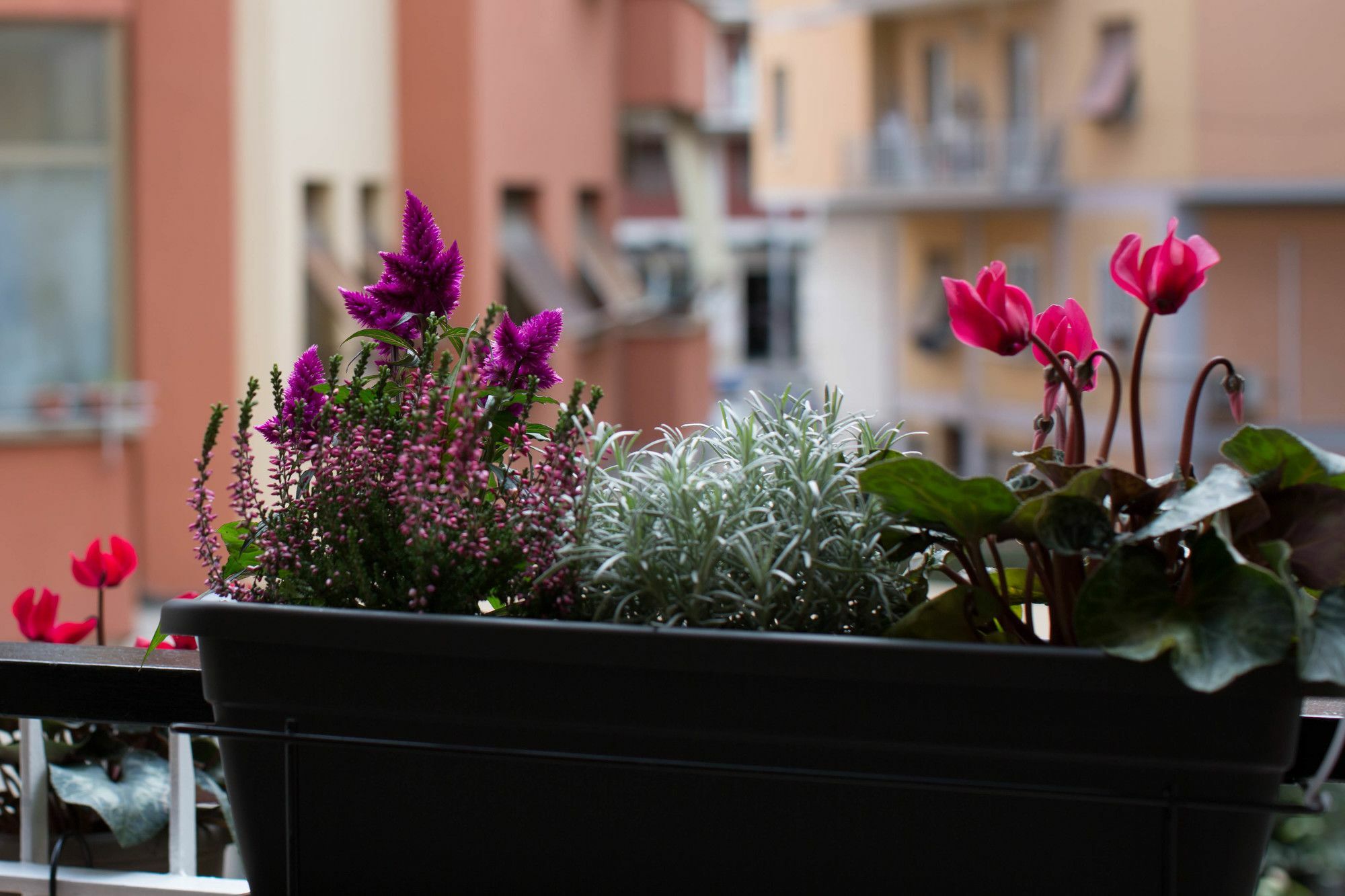 Rome By Suite Vatican Bagian luar foto